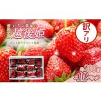 ふるさと納税 いちご 新潟県 上越市 いちご 訳あり 越後姫 約200g×10パック セット イチゴ 苺