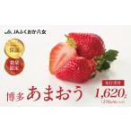 ふるさと納税 いちご 福岡県 八女市 2026年2月発送開始 博多あまおうG約270g×6パック|JAふくおか八女 あまおう いちご 苺 イチゴ フルーツ 果物 くだも…