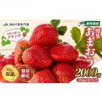冷凍いちご 500g×4パック