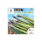 2027年春~発送 訳あり グリーンアスパラ