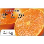 ふるさと納税 和歌山県 串本町 とろける食感 ジューシー柑橘 せとか 約2.5kg みかん 蜜柑 柑橘 オレンジ 果物 フルーツ 国産 和歌山県広川町 ※2025年2月上旬…