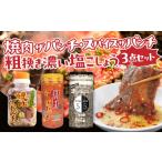 ふるさと納税 宮崎県 宮崎市 ［焼肉ザパンチ・スパイ