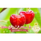 ふるさと納税 果物類 さくらんぼ 青森県 南部町 数量限定 露地栽培 青森だけの特別なさくらんぼ 「ジュノハート」 15粒(3L〜4L) 留長果樹園 期間限定 初夏…