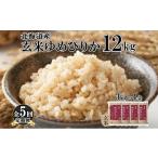 定期便 5ヵ月連続5回 ゆめぴりか 玄米 12kg