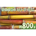 野菜類 屋我地島のサトウキビ 約800g