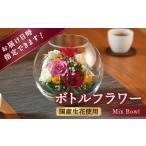 ボトルフラワー A-N はな 花 ドライフラワー