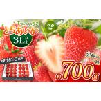 ふるさと納税 いちご 栃木県 真岡市 とちあいか３L以上ホール詰め 700g
