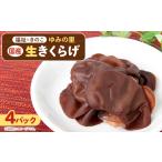 野菜類 きのこ 農福連携 館山産 生きくらげ100g×4パック