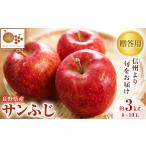 ふるさと納税 りんご 長野県 中野市 2025発送分 =信州中野の旬をお届け= サンふじ 贈答用 3kg(8〜10玉) 高丘フルーツ 1297193