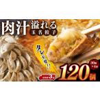 玉名餃子 120個