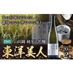 ふるさと納税 日本酒 純米吟醸酒 福岡県 鞍手町 日本酒 東洋美人 特吟 山田錦 純米大吟醸 2本 計1440ml 1本あたり 720ml 福岡吟醸倶楽部株式会社《30日以内に…