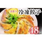 ふるさと納税 餃子 千葉県 我孫子市 手作り冷凍餃子48個入り