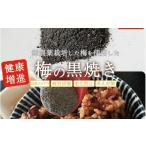 加工品等 梅干 梅の黒焼き 30g