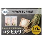 ふるさと納税 福島県 湯川村 01≪令和6年度 新米≫湯川村産コシヒカリ　精米10kg(5kg×2)　10月発送