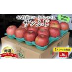 ふるさと納税 りんご 青森県 弘前市 りんご 5月クール便発送 平均糖度13度以上 おもてなし用 SF CA貯蔵 サンふじ 約 5kg 弘前市産 青森りんご リンゴ 林檎 ふ…