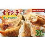 ふるさと納税 餃子 岩手県 滝沢市 冷凍餃子 青しそ生餃子 30個入 生餃子専門店 ／ 餃子 ギョーザ 惣菜 おかず