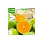 ふるさと納税 果物類 みかん 和歌山県 高野町 ［先行予約］有田育ちのご家庭用青切り 有田みかん 10kg ［2026年9月中旬より発送］［訳あり］［サイズ混合］［M…