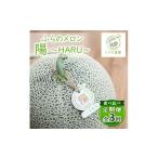 ふるさと納税 メロン メロン青肉 北海道 富良野市  発送月固定定期便 食べ比べ ふらのメロン「陽 〜HARU〜」大玉　1玉(赤肉)　富良野メロン全3回_ 定期便 メロ…
