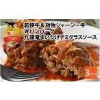 牛肉 セット 若狭牛&放牧ジャージー牛 Wハンバーグ