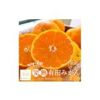 果物類 みかん 農園直送 完熟有田みかん 約1kg+200g