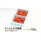 ふるさと納税 果物類 さくらんぼ 山形県 山辺町 《先行予約》 さくらんぼ 佐藤錦 秀Lサイズ プレゼント ギフト バラ詰め 700g(350g×2パック) 2025年産 令和7…
