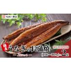 ふるさと納税 うなぎ 静岡県 浜松市  食べきりサイズ ITI優秀味覚賞受賞 長蒲焼2尾セット うなぎ 鰻 ウナギ 静岡県 浜松市 配送不可：離島 2026年1月15日以降…