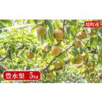 ショッピングふるさと納税 梨 ふるさと納税 梨 茨城県 境町  豊水 さかいの豊水梨 5kg (限定230箱) S122