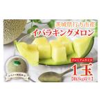 ふるさと納税 メロン メロン青肉 茨城県 行方市  2026年5月より順次発送 ふるさと納税限定 プレミアムサイズ イバラキングメロン 1玉(約2kg)｜メロン イバラキ…