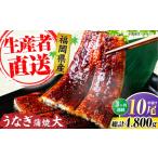 うなぎ 全3回定期便 蒲焼 大 10尾