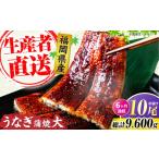 うなぎ 全6回定期便 蒲焼 大 10尾