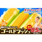 ふるさと納税 とうもろこし 北海道 名寄市 先行予約 特大 とうもろこし 極甘 スイートコーン 「 ゴールドラッシュ 」 8.5kg 以上 2025年8月上旬-9月中旬頃出…