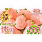 ふるさと納税 いちご 熊本県 玉名市 年末年始発送 淡雪 約500g | フルーツ 果物 いちご 淡雪 熊本 玉名 淡雪:500g