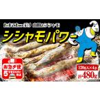 魚貝類 ししゃも W-1806 冷凍 子持ち