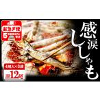 魚貝類 ししゃも W-1803 冷凍 子持ち