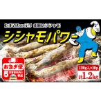 魚貝類 ししゃも A1-1807 冷凍 子持ち