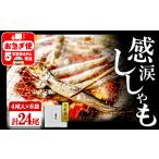 魚貝類 ししゃも A1-1803 冷凍 子持ち