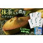焼菓子 チョコレート フィナンシェ 抹茶入り濃緑茶フィナン…