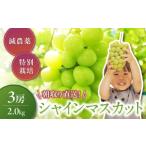 ふるさと納税 ぶどう マスカット 山梨県 甲斐市 2025年発送 特別栽培 減農薬 シャインマスカット 2.0kg 3房 先行予約 先行 予約 山梨県産 産地直送 フルーツ …