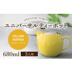 食器 グラス 美濃焼 ユニバーサルティーポット
