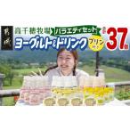ふるさと納税 飲料類 乳飲料 宮崎県 都城市 高千穂牧場ヨーグルト&ドリンクバラエティセット(プリン付き)《ご入金翌月の中旬〜下旬の水曜日頃出荷》_MJ-16…