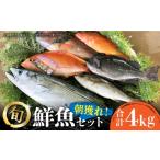 旬の鮮魚等 朝獲れ鮮魚セット4kg 五島列島直送