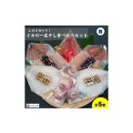 ふるさと納税 干物 イカ 鳥取県 米子市 先行受付 シロイカ入りイカの一夜干し食べくらべセット(Bセット)