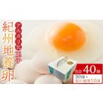 ふるさと納税 卵（鶏、烏骨鶏等） 和歌山県 九度山町 アルカリ化 玉子 紀州地養卵 合計 40個入 (30個＋割れ補償分10個）卵 たまご 玉子 タマゴ 鶏卵 まとめ買…