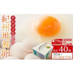 ふるさと納税 卵(鶏、烏骨鶏等) 和歌山県 九度山町 定期便 毎月発送 全3回 アルカリ化 玉子 紀州地養卵 合計 40個入 (30個+割れ補償分10個)× 3回 卵 た…