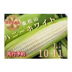 ショッピングとうもろこし ふるさと納税 埼玉県 東松山市 【限定10箱】【先行予約】東松山市産 白とうもろこし 10〜11本 ハニーホワイト 雪の妖精【新鮮】 ／ 季節野菜 とうもろこし 白…