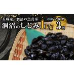 魚貝類 しじみ 453 定期便 1kg