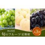 果物類 全3回コース 2027年 旬のフルーツ定期便