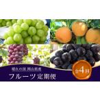 果物類 ぶどう フルーツ 2027年 全4回コース