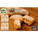 焼菓子 チョコレート クッキー 田野屋塩二郎完全天日塩