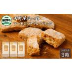 焼菓子 チョコレート クッキー 田野屋塩二郎完全天日塩